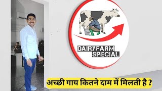 अच्छी गाय कितने दाम में मिलती है  dairyfarm farming farm farmer how to buy cow [upl. by Meuse390]