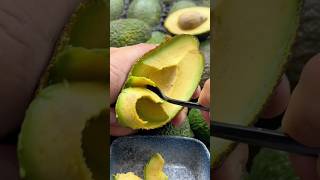 This Avocado Fruit Is Very Sweet satisfying fruit avocado guacamole [upl. by Rella]