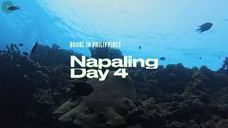 Napaling Bohol in Philippines 20240722 [upl. by Aikcir]