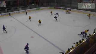 U17 Elit ZSC Lions  SC Bern Future [upl. by Nnylecoj]