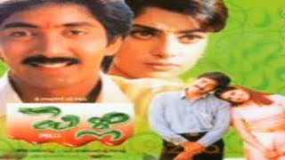 Pelli movieyavvana Veena Telugucove fullrsong vadde Naveen Maheshwari [upl. by Tillo]