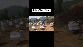 bijaya mauri Palan tatha krishi farm [upl. by Amer]