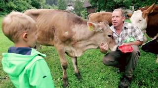 WieWirLeben  Urlaub am Bauernhof Kärnten 🐮 [upl. by Aeresed]