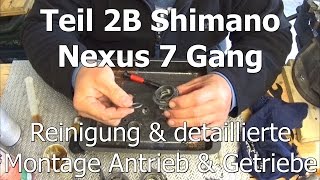 Teil 2B Shimano Nexus 7 Gang Reinigung amp detaillierte Montage Antrieb amp Getriebe [upl. by Au377]