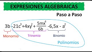 EXPRESIONES Algebraicas Polinomio Monomio PASO A PASO [upl. by Ecinnaj717]