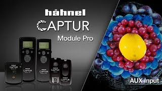 hähnel Captur DSLR Remote Control  AUX Input [upl. by Maria]