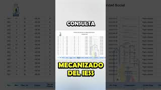 Cómo sacar el mecanizado del IESS  El Resumido y el Detallado  2023 Ecuador [upl. by Aria]