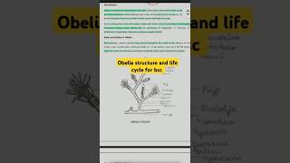 structure and life cycle of obelia for bsc 1st year [upl. by Uta]