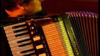 Budapest Harmonika Trio  Bumble bee  Accordion  Harmonika  Fisarmonica [upl. by Nauhs]