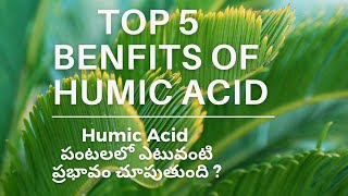 Humic Acid uses in agriculture [upl. by Asssilem303]