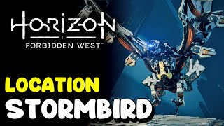 STORMBIRD LOCATION Horizon 2 Forbidden West [upl. by Gelasias]