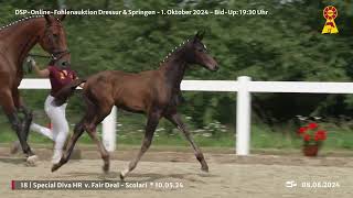 Lot 18 v Fair Deal  Scolari [upl. by Naid654]