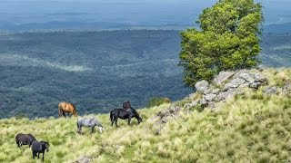 Paisajes de la Sierra Ancasti Catamarca Argentina [upl. by Nnylyrehc]