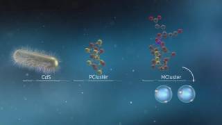 Animation of Biological and Photobiohybrid Processes for Reduction of N2 to Ammonia by Nitrogenase [upl. by Uaerraj]