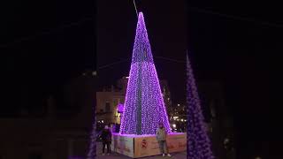 Albero di Natale Molfetta 2023 [upl. by Martell]