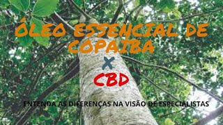 Óleo essencial de Copaíba versus CBD  cannabis Qual a diferença Especialistas respondem [upl. by Robet]