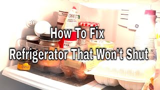 How to Fix a Refrigerator Door That Isn’t Shutting Properly [upl. by Tsenrae]