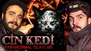 BU KEDİ CİN Mİ  120 Yaşındaki Halime Hatunun KORKUNÇ KONAĞI  Paranormal Olaylar [upl. by Ahsote]