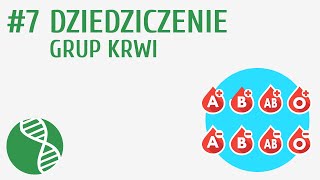 Dziedziczenie grup krwi 7  Genetyka [upl. by Leandre]