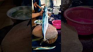 kingfish cutting C water surmai fish Fry cut kingkong shortvideo [upl. by Anehs]