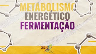 Metabolismo Energético  Fermentação [upl. by Poock565]