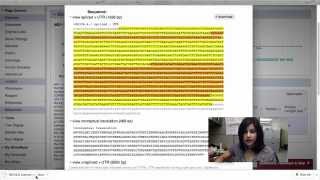 Intro to WormBase View the sequence of a gene [upl. by Mikol937]