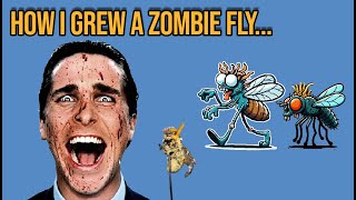 How I Grew A Zombie Fly Using Cordyceps Last Of Us [upl. by Anigue]