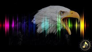 Cinematic Eagle Cry Sound Effect [upl. by Wallache]