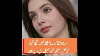 Hum Jo hunsty howay achay ni laghty tum ko I Best Urdu Poetry amp Inspirations I Slickers DIARY [upl. by Chlo]