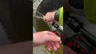 Fishing for Grayling in Wales the fish didn’t fancy a photo flyfishing grayling euronymphing [upl. by Veator614]