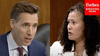 Youre Taking Missourians Land From Them Josh Hawley Explodes At Clean Energy Executive [upl. by Anairt]