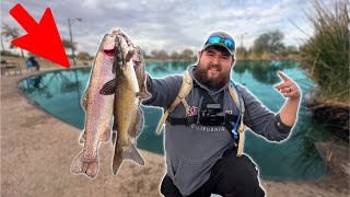 Catch amp Cook AZ Pond Catfish amp Trout Safe to Eat [upl. by Nayab]