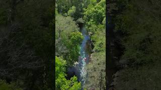 Stunning Paddle Through Crystal Clear Water at Gilchrist Blue Springs and Santa Fe River Florida ✨ [upl. by Einaeg76]