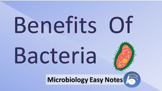 Benefits of bacteriauses of bacteriaadvantages of bacteria [upl. by Nylkcaj284]