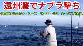 遠州灘でナブラ撃ち 水面直下のカツオ・シーラ・マダイ・サバ・シーバスを狙え キャスティング＆ジギング編 Mahi Mahi Fish Deep Sea Fishing Jigging＆casting [upl. by Natsyrk70]