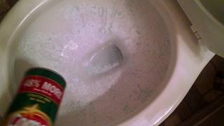 Cleaning Toilet w Comet Cleanser  How To Clean A Toilet Bowl w Comet  ASMR Scrubbing [upl. by Ahseret]