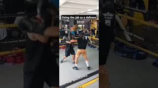 Partner drills with eran boxing [upl. by Hagep]