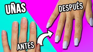 ¿Cómo poner uñas postizas ¡Todos mis trucos Todo lo que quieres saber  CatampBeauty [upl. by Margarette]