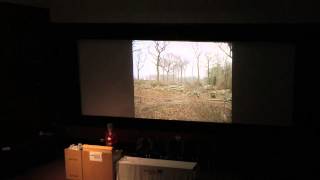 Longterm coppice management at Bradfield Woods Simone Bullion Dormouse Monitoring 2013 [upl. by Uziel]