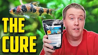 How and When to Use Salt with Aquarium Fish [upl. by Smitty]