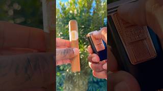 🔥💨 Tranquility with a delicious Drew Estate Undercrown Shade cigar cigar asmr shorts luxury [upl. by Asta834]