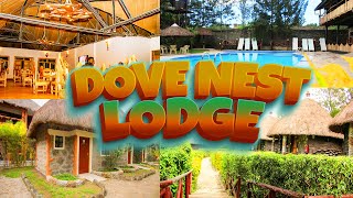 DOVE NEST LODGE TOUR  CAVES  DECORATIONS  FOOD [upl. by Lyle822]