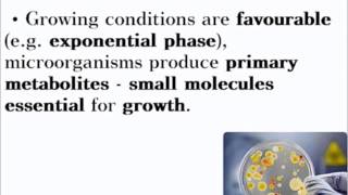 Biotechnology  ALevel A2 Biology Revision [upl. by Arakal]