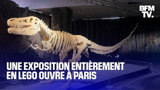 Un dinosaure de 80000 briques quotLa Nuit étoiléequot une exposition entièrement en Lego ouvre à Paris [upl. by Bron]