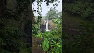 Rainbow Falls Big Island Hawaii bigisland hawaii rainbiwfalls [upl. by Albie986]