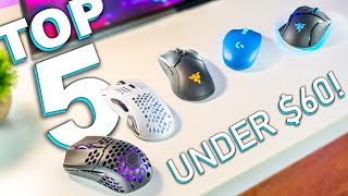 Top 5 Budget Gaming Mice for FPS [upl. by Nnyllatsyrc641]