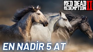 EN NADİR 5 At Sırasıyla Red Dead Redemption 2 [upl. by Hayley942]