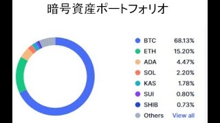 ノルウェーの政府年金基金グローバルはマイクロストラテジー、取引所コインベース、決済企業ブロック、ビットコインマイニング企業マラソン等に投資。私の暗号資産ポートフォリオと価格予測。 [upl. by Welby766]