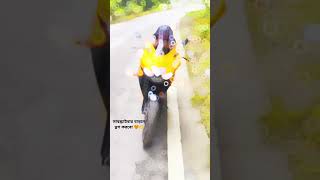 My yellow Gsx r150 bike 🧡motorcycle bike bikelover bikereels viralvideo viralshorts [upl. by Lynsey]