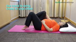 4 Exercises for Pelvic Girdle Pain Part 2 [upl. by Laroc]